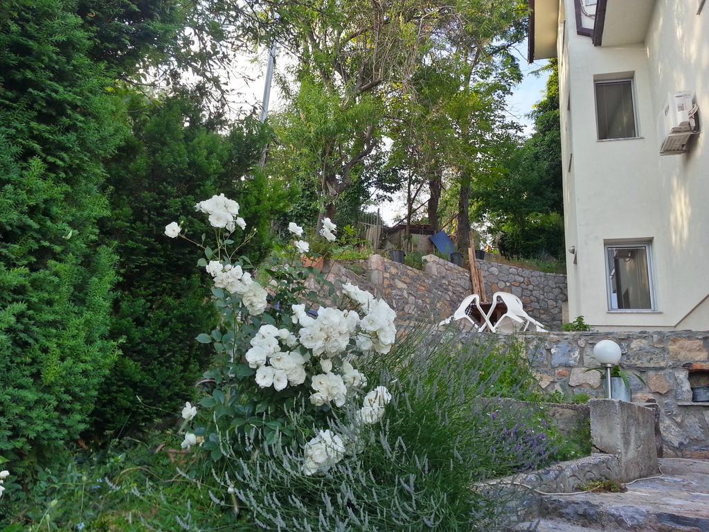 Maslov Apartments Ohrid Exterior photo